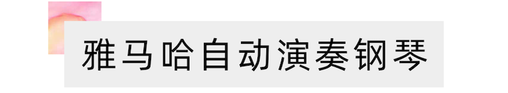 活动报道 | 远程艺术教育大师课活动—优德88教育家崔岚大师课